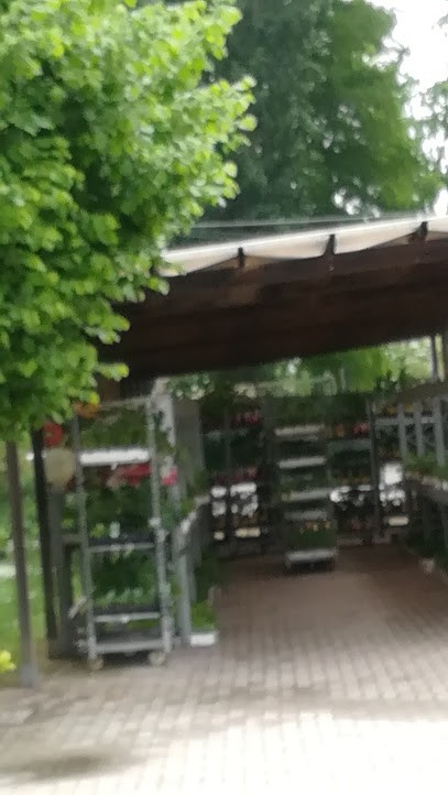 Giardino Sereno, Fiorista a Sant'Angelo Lodigiano