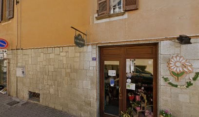 M’ama Non M’ama, Fiorista a Feletto