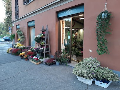 Al Cantun D'Le Fiur, Fiorista a Torino