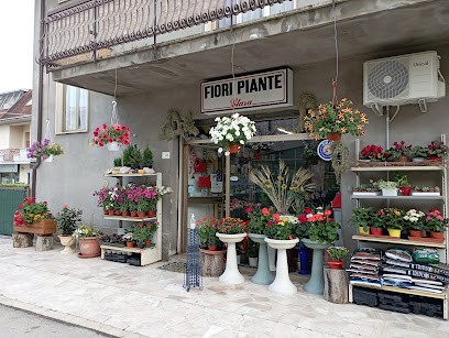 Clara Di Irene Di Domenico, Fiorista a Castiglione Messer Raimondo