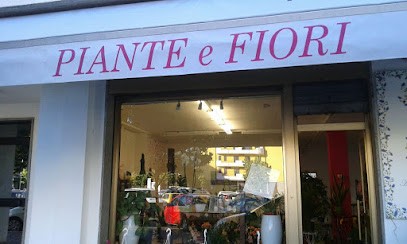 Fiori Di Lillà, Fiorista a Vasto