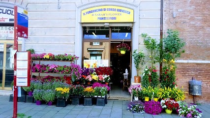 Il Furgoncino Di Corso Giovecca Di Sarah's Flower, Fiorista a Ferrara