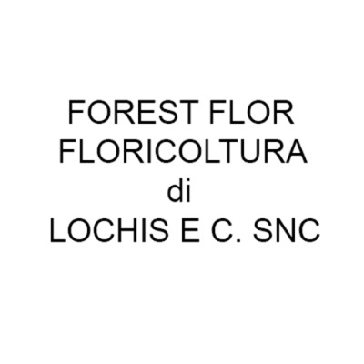 Forest Flor Floricoltura, Fiorista a Foresto Sparso