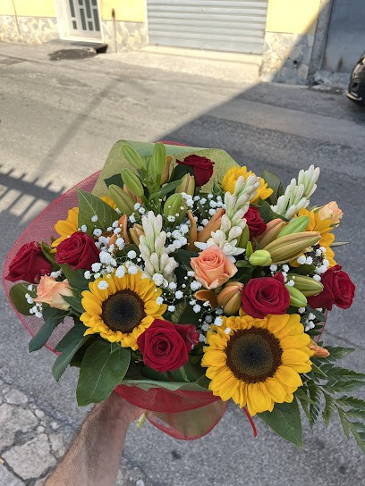 Galletti Rosa, Fiorista a Messina