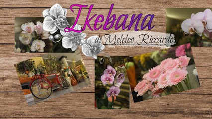 Ikebana Di Meleleo Riccardo, Fiorista a Castrignano de' Greci