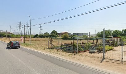 FloricolturaRusso, Fiorista a Casagiove