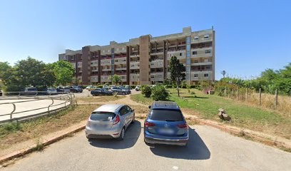 Todarello Raffaella, Fiorista a Anzio