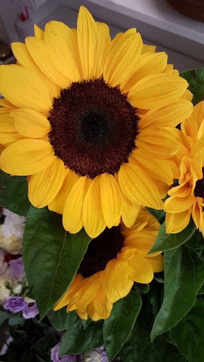 Fioreria Il Cjanton Das Roses Di Elena Di Bello, Fiorista a Sutrio