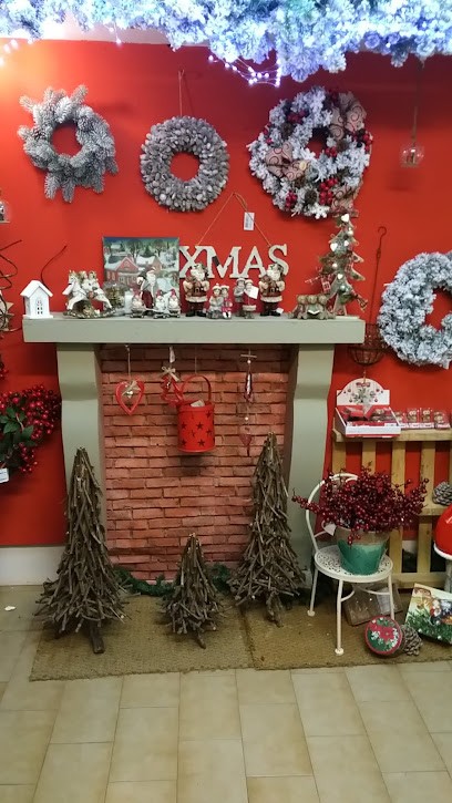 Fioremania Di Angelini Mariangela, Fiorista a Pieve Fosciana