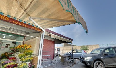 L'agapanthus Creazioni Floreali, Fiorista a Marsala