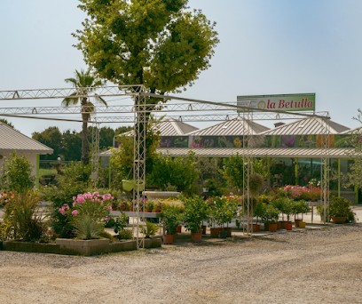 Garden Vivaio La Betulla, Fiorista a Calvisano