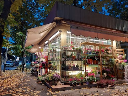 L'aiuola Il Chiosco Di Fiori, Fiorista a Firenze