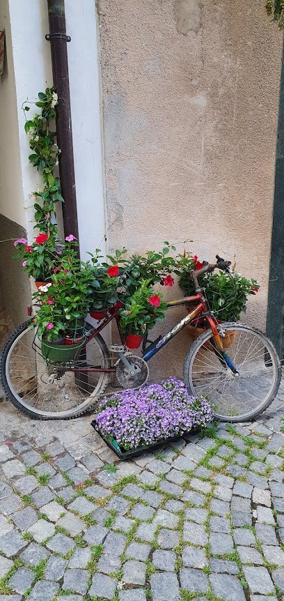 Edda Ruaro Edda Fiori, Fiorista a Ormea