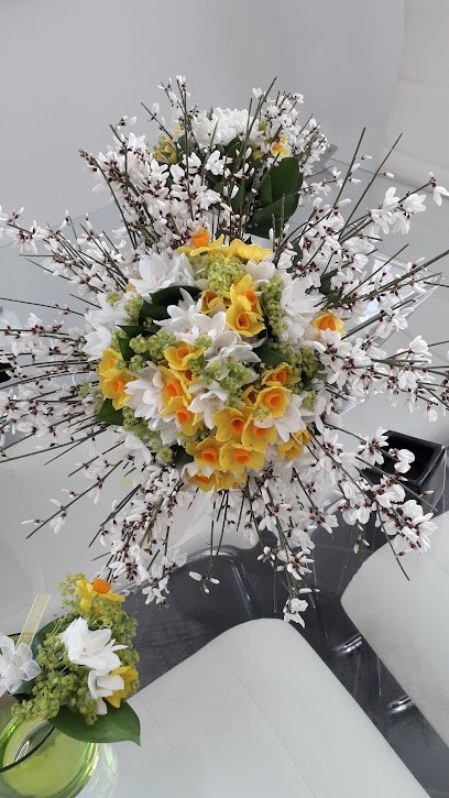 La mimosa, Fiorista a Gozzano