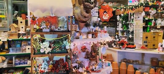 Agraria, Fiorista a Trieste