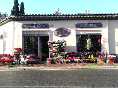 Il Girasole Addobbi Di Bravi Catia, Fiorista a Fiano Romano