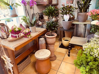 Girafiore Di Angela Ercoli, Fiorista a Viterbo