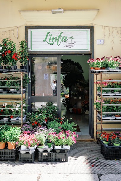 Linfa Decò Fioreria (Eventi E Ricorrenze), Fiorista a Trani