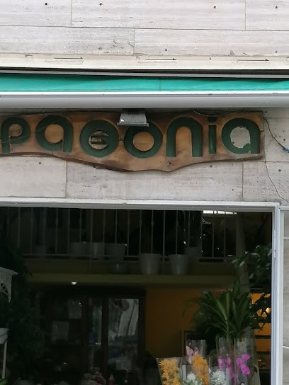 Paeonia Bertonati, Fiorista a Torre del Greco