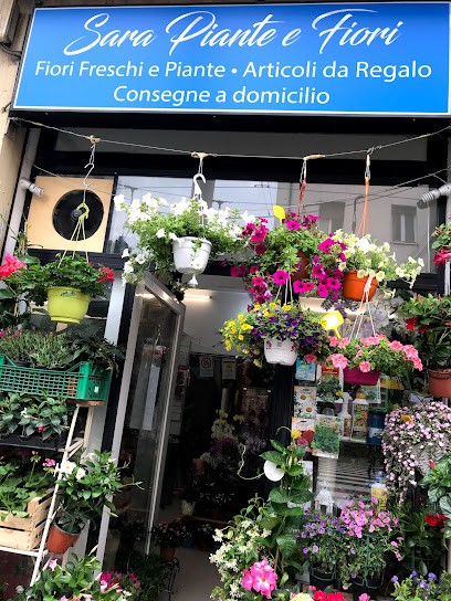 Sarà piante e fiori di Saha Sompa, Fiorista a Bologna