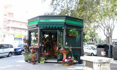 La Rosa Rossa, Fiorista a Roma