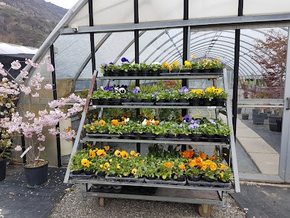 Mont Fallère Società Cooperativa Sociale, Fiorista a Sarre