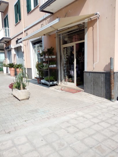 L'Edengreen Di Cristaudo Barbara, Fiorista a Avellino