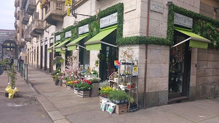 Strani Fiori Torino Consegne A Torino, Fiorista a Torino