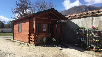 La Casetta di Sauro - Fiori e Piante - Greccio, Fiorista a Greccio