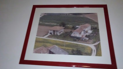 Cappellaro Luca, Fiorista a Sossano