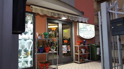 La Gardenia Di Pannullo Antonio, Fiorista a Cava de' Tirreni