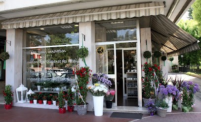 Particolarmente Flowers&Events, Fiorista a Martellago