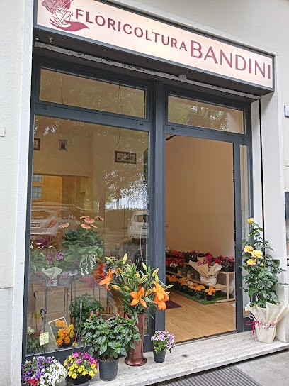 Floricoltura Bandini, Fiorista a Faenza