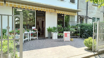 Fioreria Elite, Fiorista a Dolo