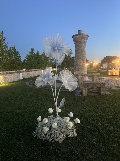 Florart Di Vassalotti Gabriella, Fiorista a Riccia