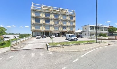 Il Tulipano Di Marrocchi Marta, Fiorista a Appignano