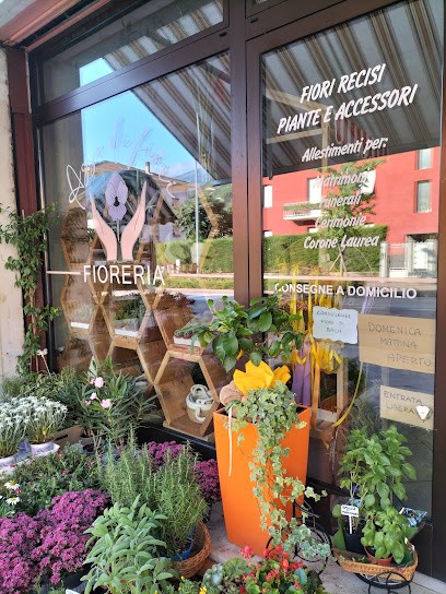 ASSO DI FIORI FIORERIA, Fiorista a Rovereto