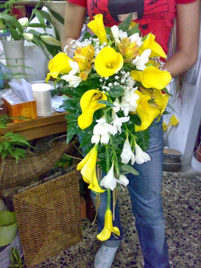 Angolo Verde di Paola Orrù, Fiorista a Villacidro