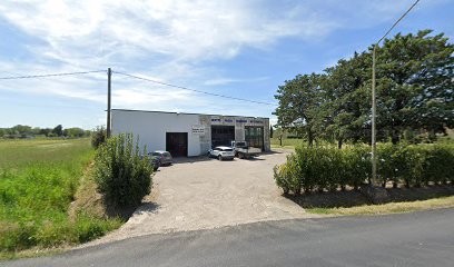 El Dorado Srl, Fiorista a Tuoro sul Trasimeno