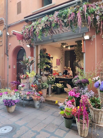 Frida's Bologna | Italian Flower Stores, Fiorista a Bologna