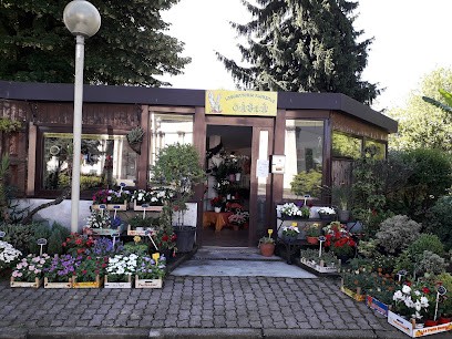 Laboratorio Floreale Oasia, Fiorista a Melzo