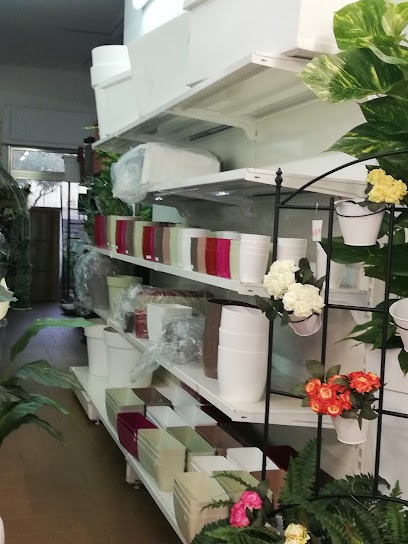 Commercial Garden Fiori Piante, Fiorista a Olbia