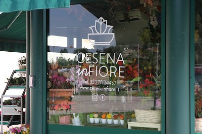 Cesena in Fiore, Fiorista a Cesena