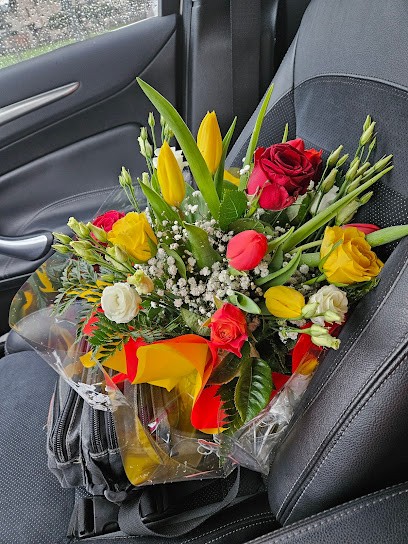 Floricoltura Mombelli, Fiorista a Gornate Olona