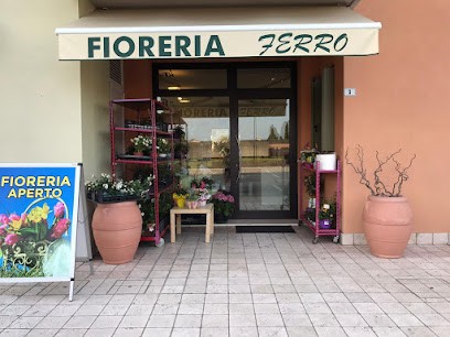 Fioreria Ferro Andrea, Fiorista a San Martino di Lupari