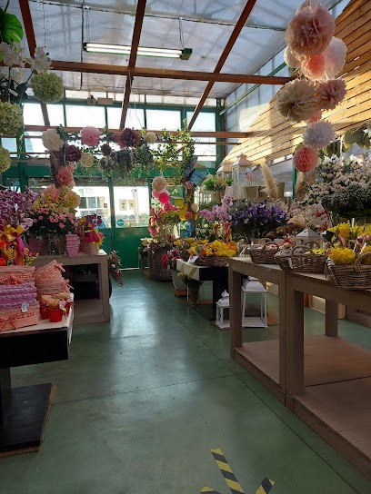 Floricoltura Maroni, Fiorista a Cesena