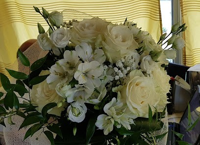 Piante E Fiori Carnelli, Fiorista a Turate