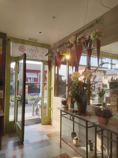 Arte in Fiore, Fiorista a Capriolo