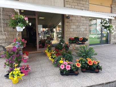 Fioreria Tonnoni Luisa, Fiorista a Rimini