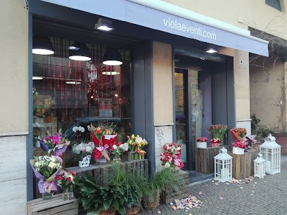 VIOLA EVENTI, Fiorista a Arcore